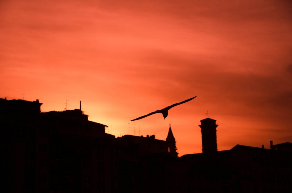 Incontro al tramonto a Frenze Palazzo Vecchio gabbiano al tramonto sul Ponte Vecchio a Firenze foto di tramonti immaginni al traomto immaginin bellissime di tramonti traonto